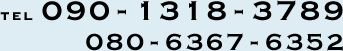 090-1318-3789