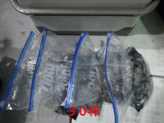 1.9.21.p12.jpg