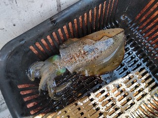 5.9.10.a6.jpg